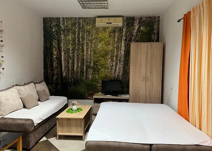 Apartmani Lana Podgorica
